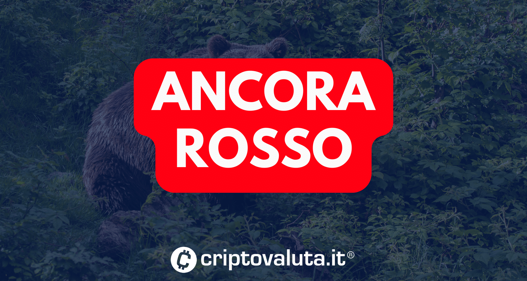Bitcoin e crypto: apertura con CROLLO. Bitcoin verso i 50.000$? Le DATE più IMPORTANTI della settimana