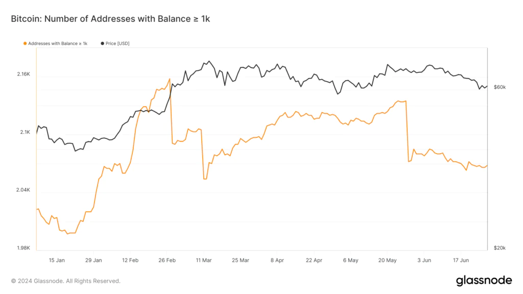 Andamento Bitcoin come