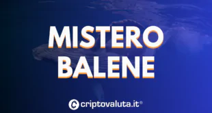 Mistero Balene
