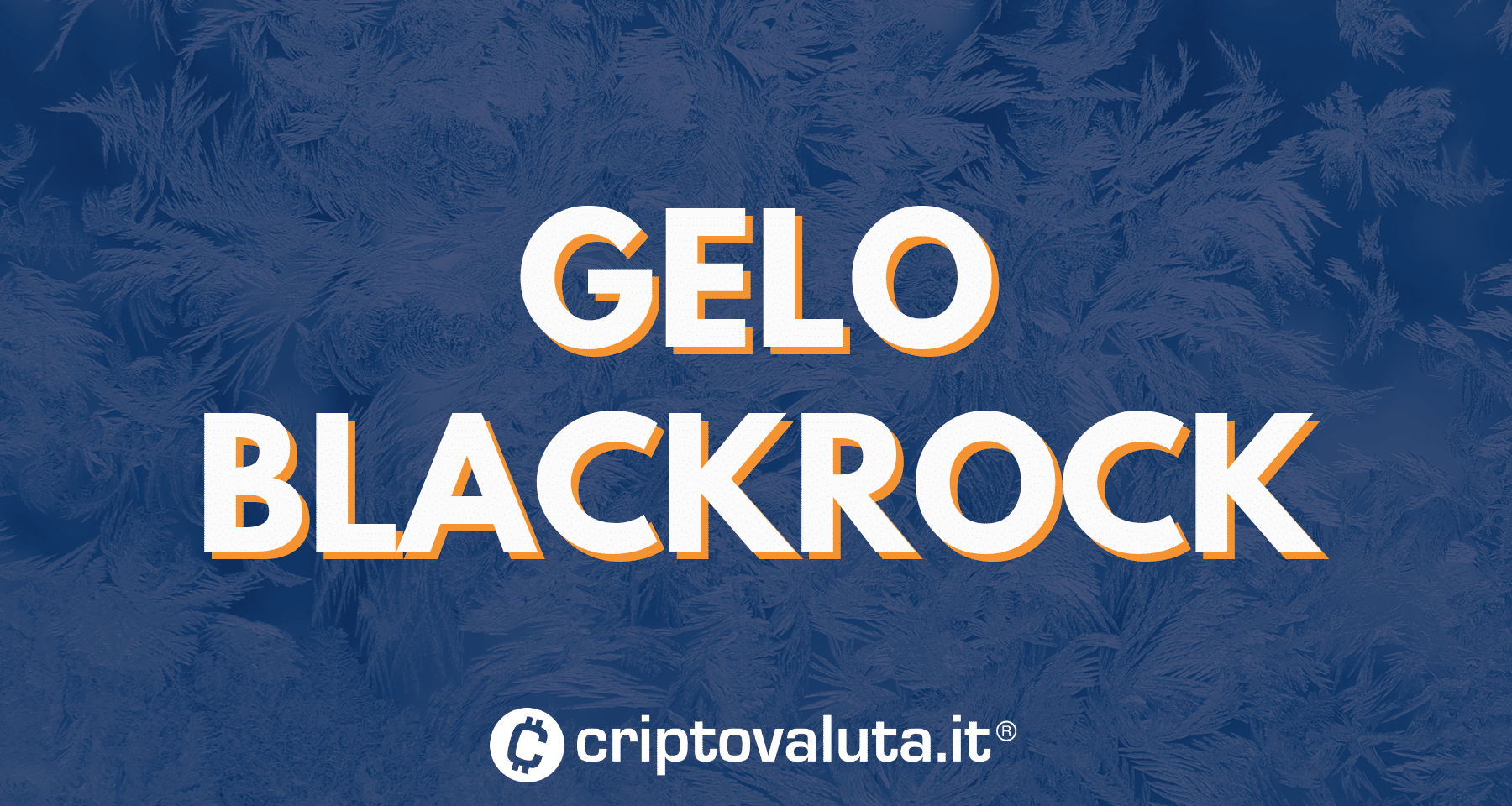 BlackRock gela il mondo crypto: "Poco interesse per altri asset"