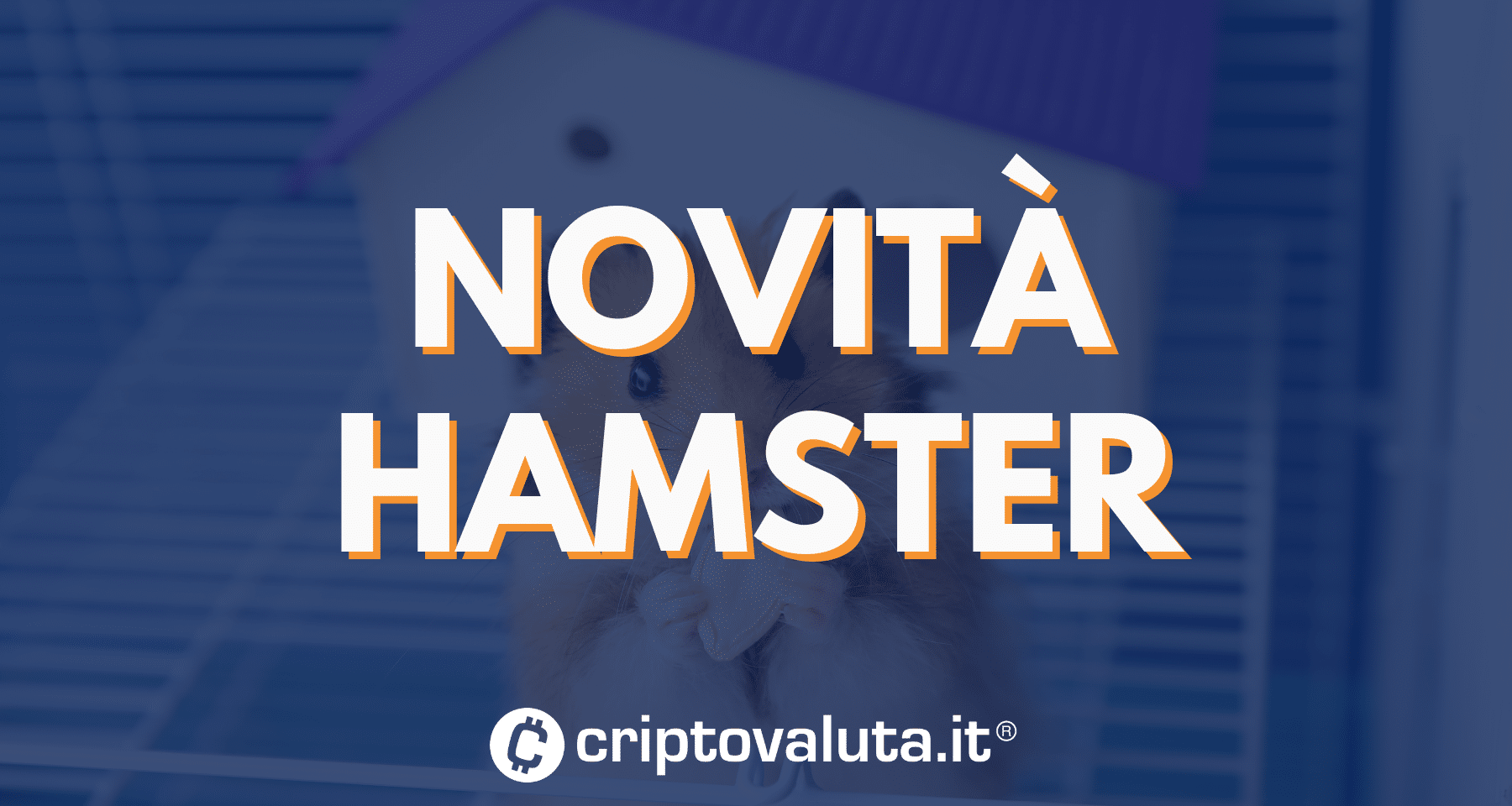 Hamster Kombat: È arrivata una INCREDIBILE NOVITÀ [Video recensione]