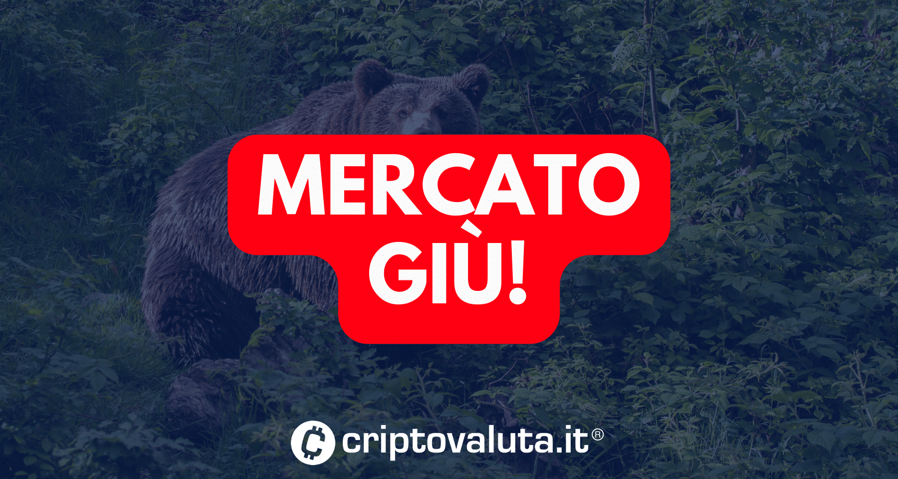 Crypto e Bitcoin: è CROLLO? BTC sotto i 69.000$, male meme e token più volatili. LIQUIDAZIONI e attese