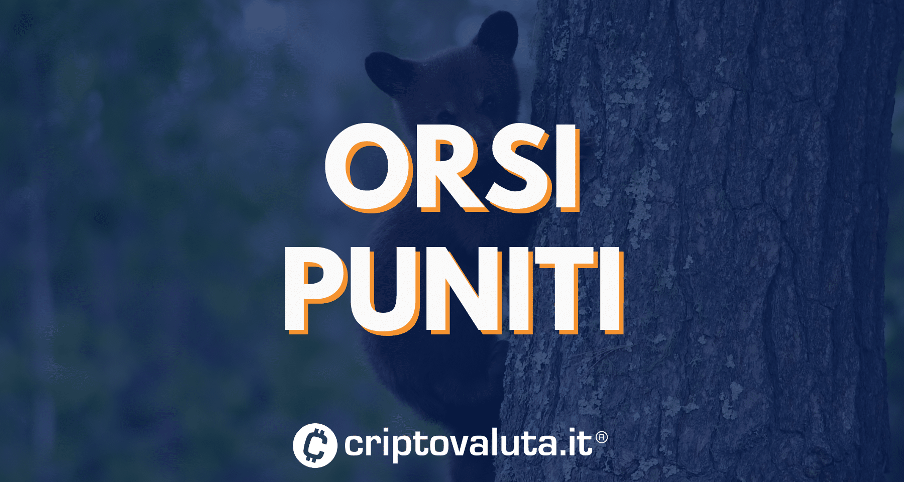 Bitcoin VOLA verso i 70.000$, crypto tutte in BULL: l'analisi