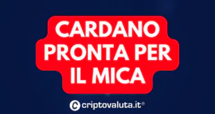 CARDANO MICA