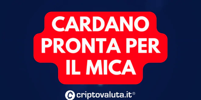 CARDANO MICA
