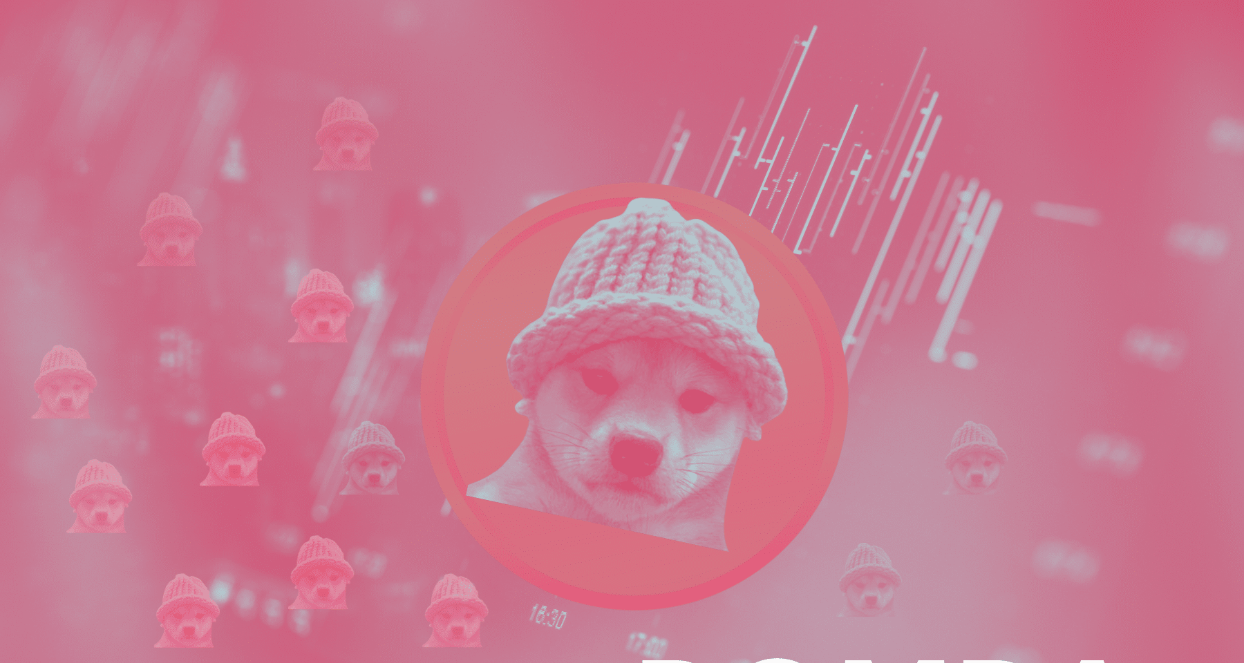 Previsioni Dogwifhat: conviene investire sulla MEME di SOLANA? Analisi INCREDIBILE