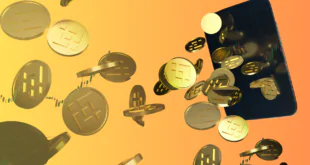Binance Coin (BNB)
