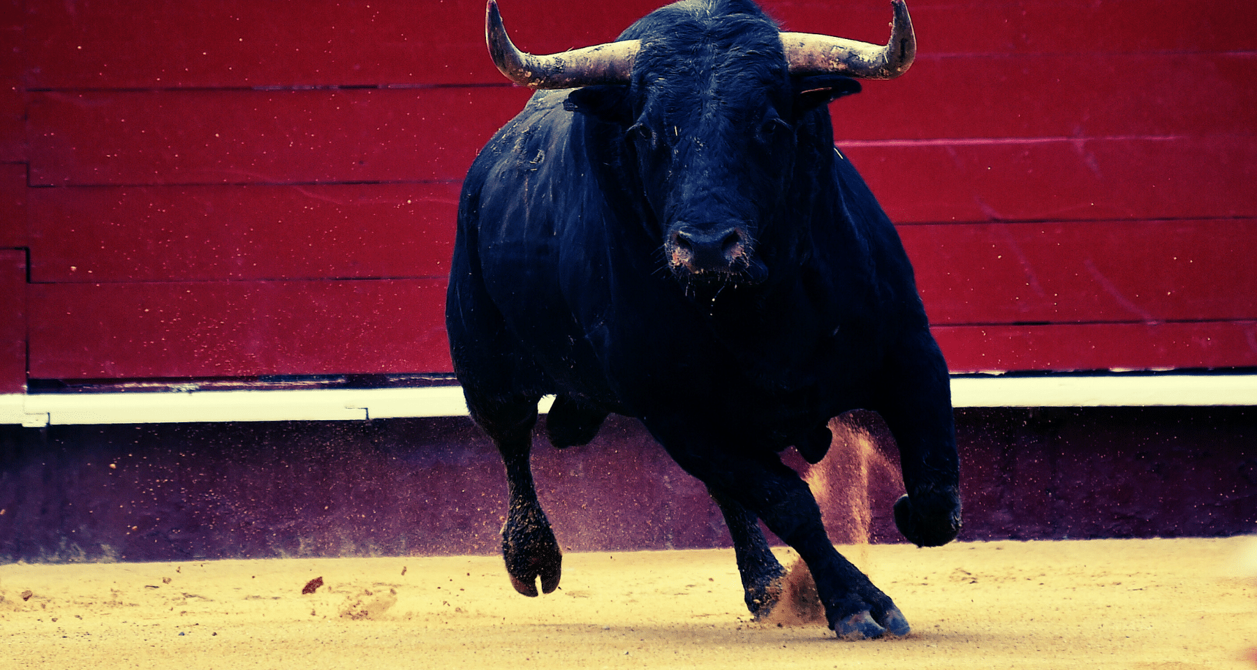 Coinbase lancia la bull run: per Bitcoin e crypto prossimo trimestre da urlo