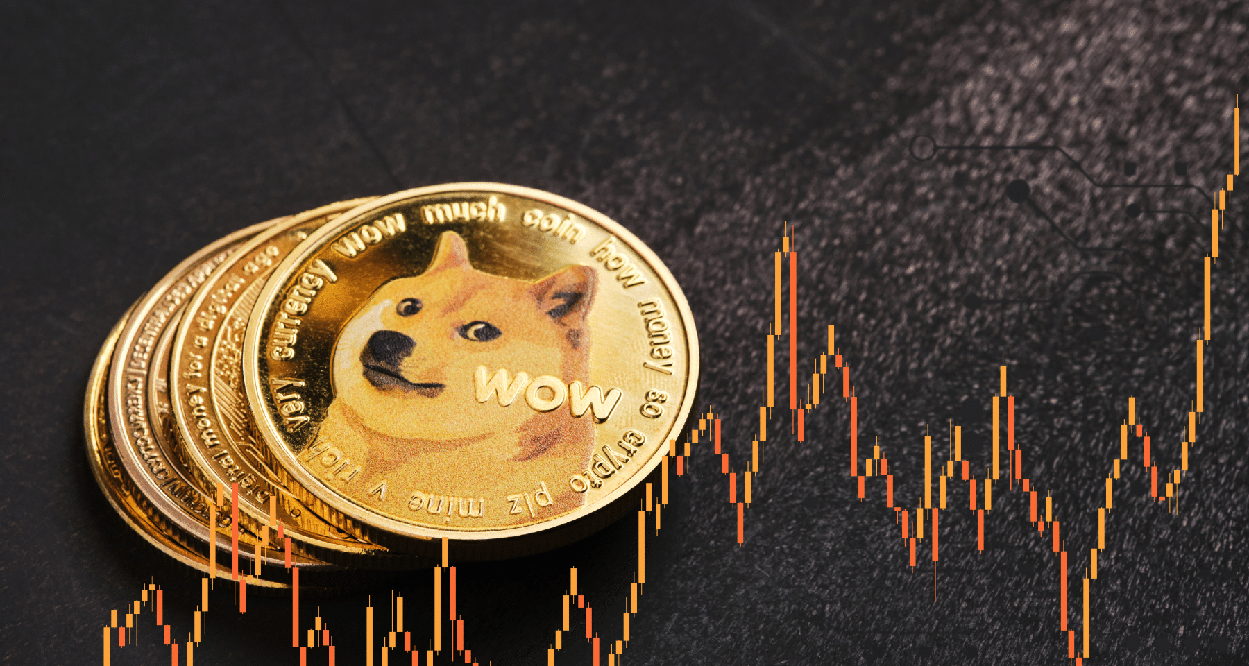 Che succedendo a DOGECOIN? Febbraio da SPAVENTO! Elon Musk ha perso il suo potere sul mercato?