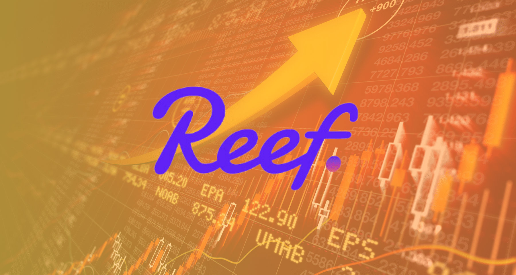Crypto REEF: +800% da inizio mese. L'analisi fondamentale per capire dove andrà