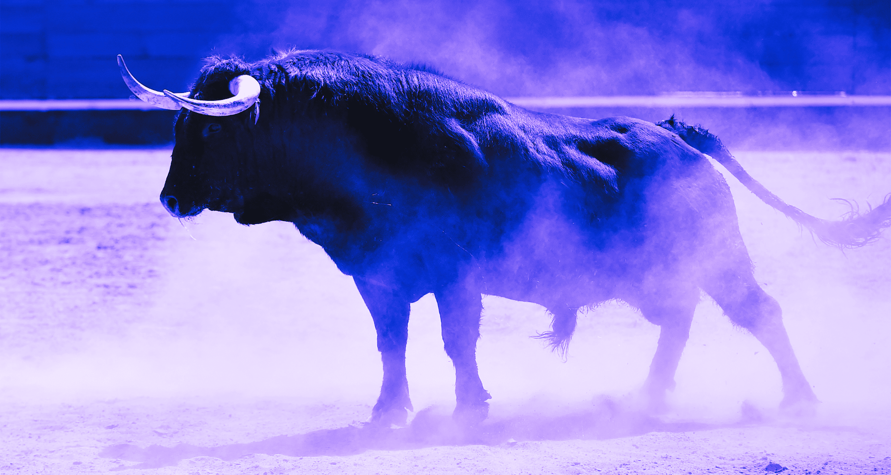 Celestia TIA è la crypto top delle ultime 24 ore. Qui ti spieghiamo perché