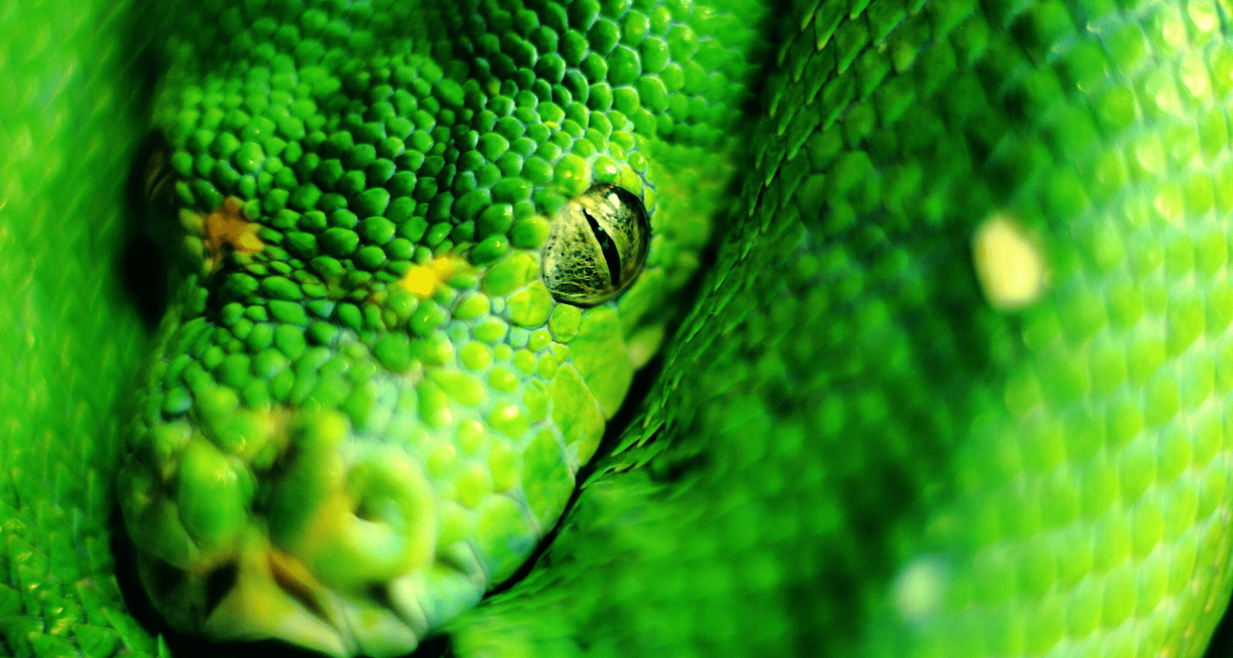 Bitcoin e crypto non fanno paura, ma BCE e Parlamenti non possono fare che attaccare