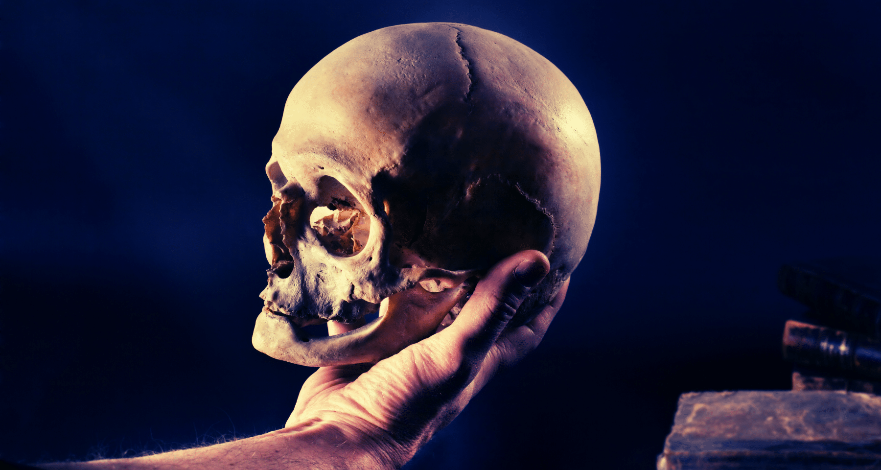 Danimarca vuole battere Italia sulle TASSE BITCOIN e CRYPTO: proposta folle  di Copenhagen - Criptovaluta.it®