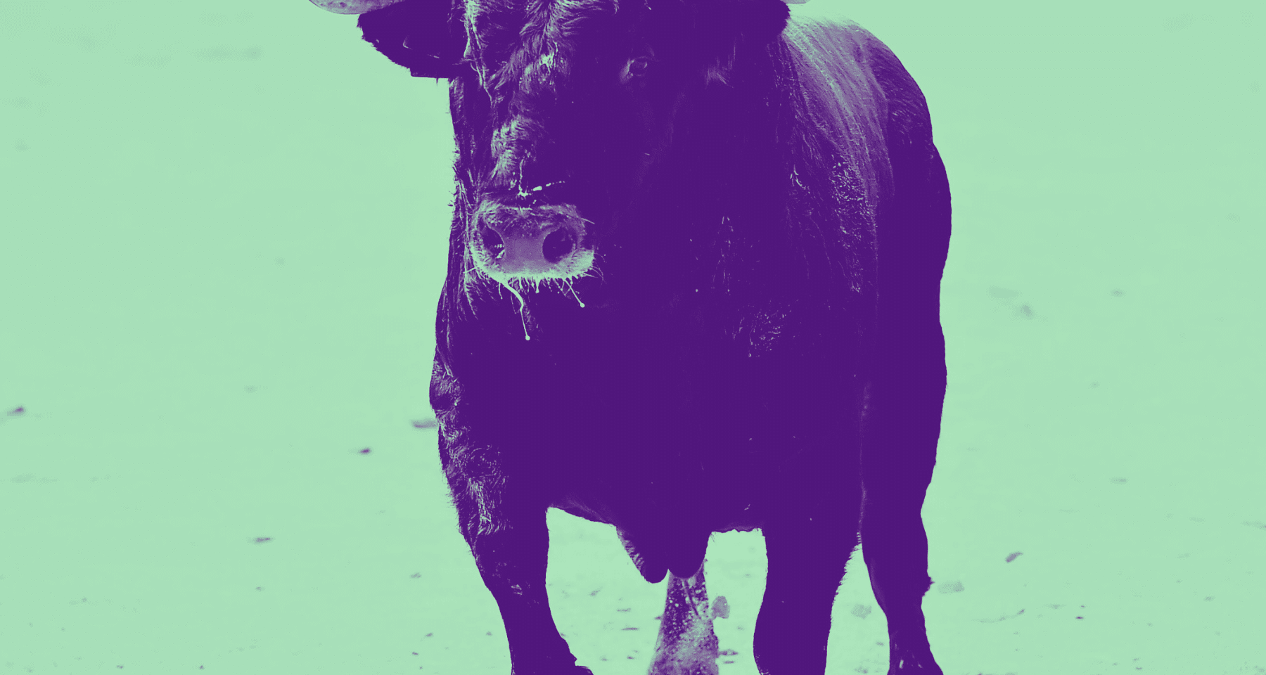 Solana, Uniswap e meme: è mini bull run per questi comparti crypto. Ecco perché