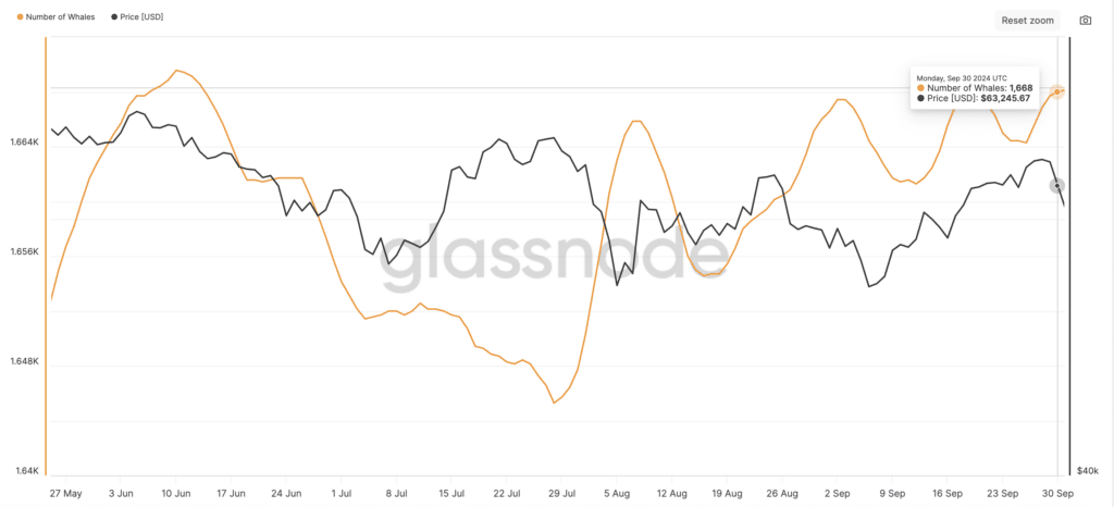 Bitcon Number of Whales