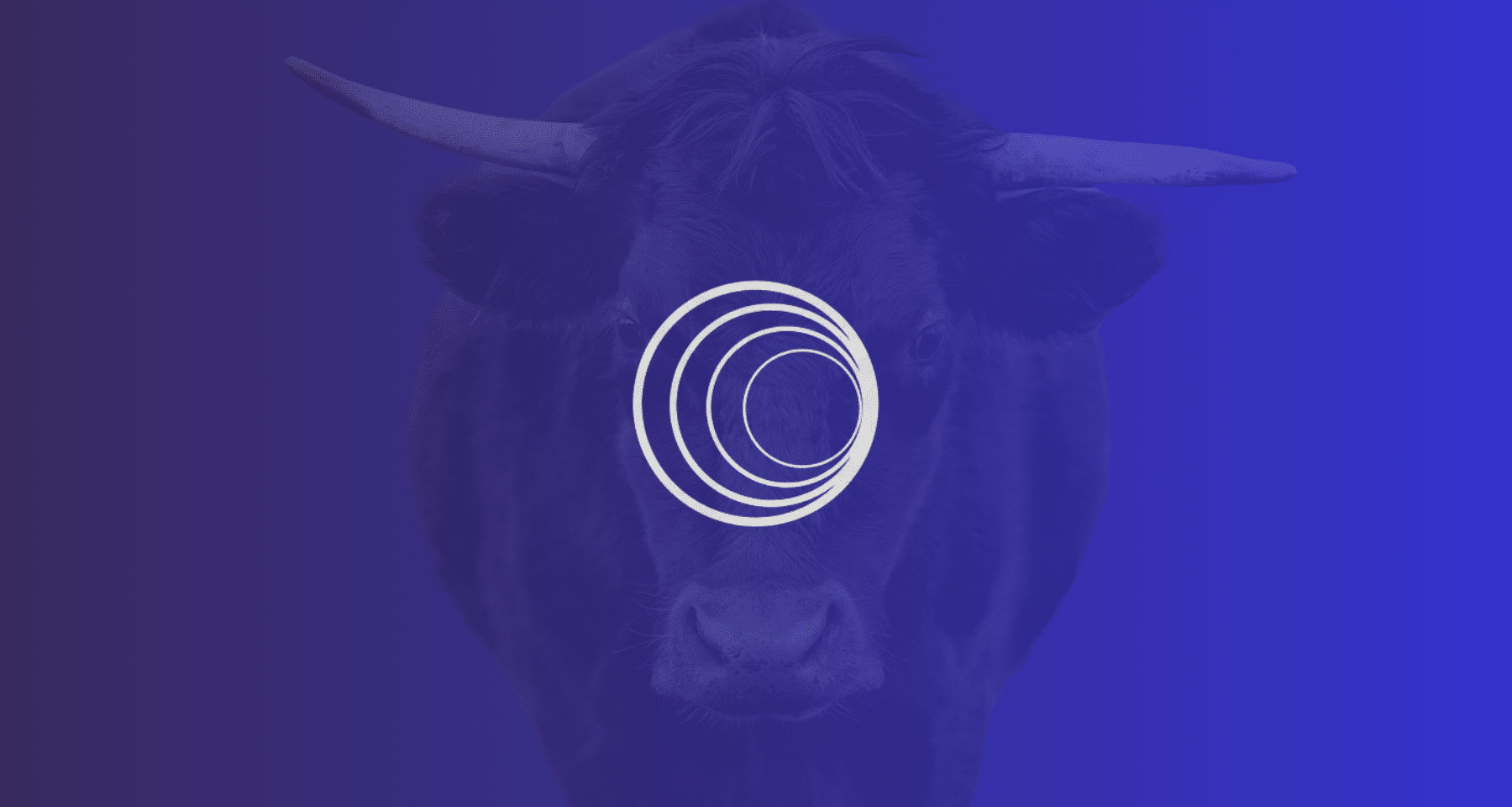 Wormhole: la crypto che fa +20% in 24 ore! Qui ti spieghiamo PERCHÈ VOLA