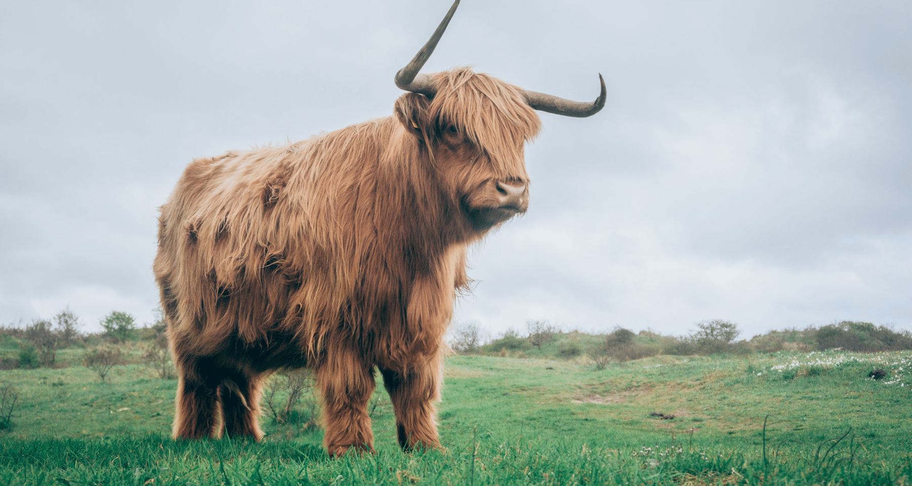 4 progetti alternativi a Ethereum da SEGUIRE durante la BULL RUN: ecco chi può emergere