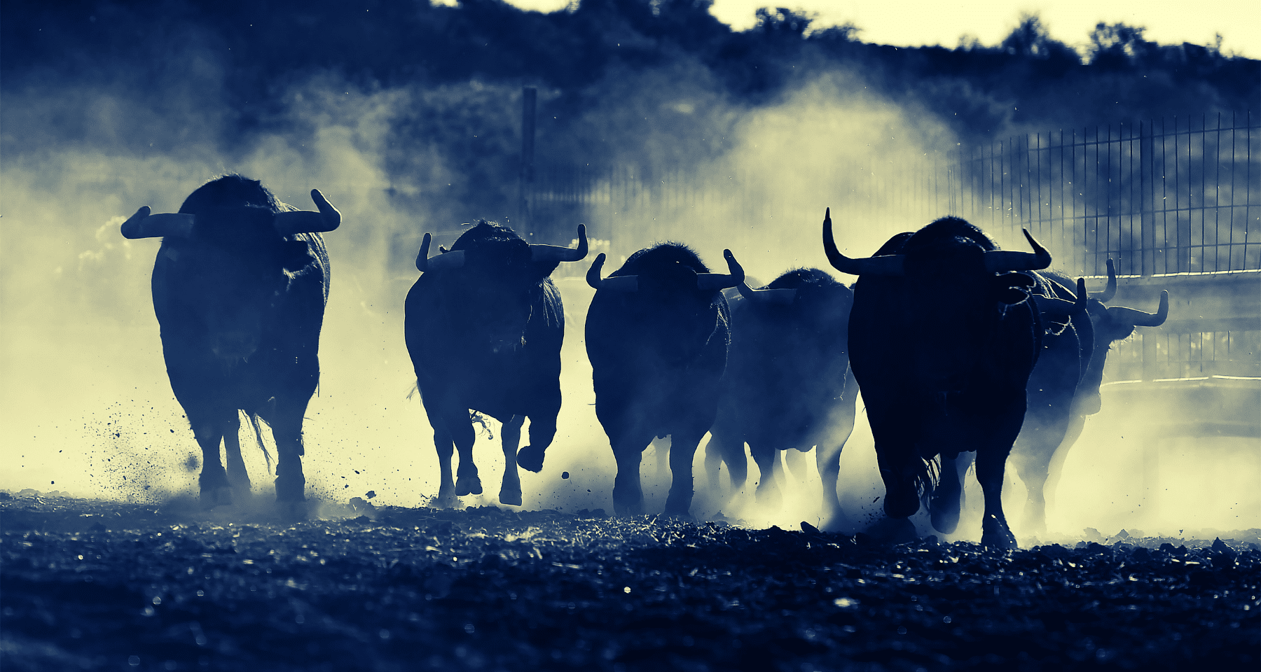 Cardano ADA, Aptos, The Graph: 5 MOTIVI per CRYPTO BULL RUN con Bitcoin vicino ai massimi (di nuovo!)