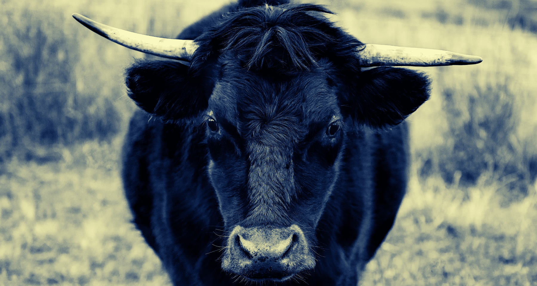 È arrivata l'alt season? +30% per tante crypto "alternative". Ok per Ethereum, VeChain e...