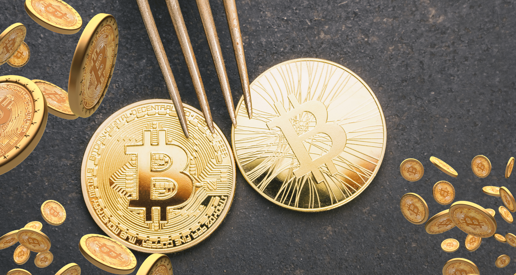 Bitcoin Cash: a ruota di Bitcoin | $BCH massimi settimanali 536$ e +90% nel  2024 [ANALISI] - Criptovaluta.it®