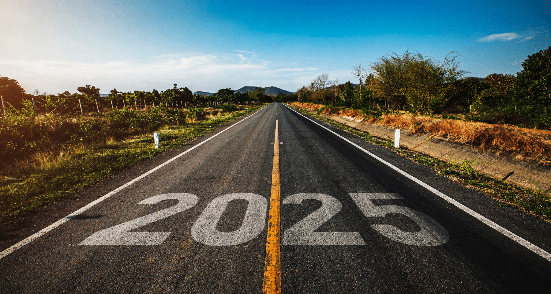 5 trend del 2024 che ESPLODERANNO nel 2025 crypto. Le SORPRESE per gli  investitori - Criptovaluta.it®