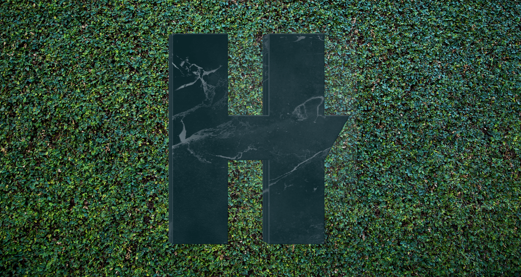 Hedera HBAR: apre dicembre con +48% e VOLA nella Top 20. La nostra analisi