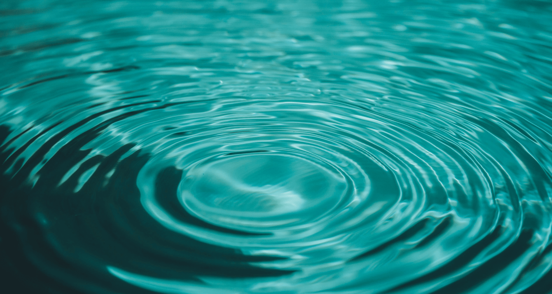 Ripple: arriva un altro ETF negli USA. WisdomTree invia richiesta. XRP sopra 2,30$