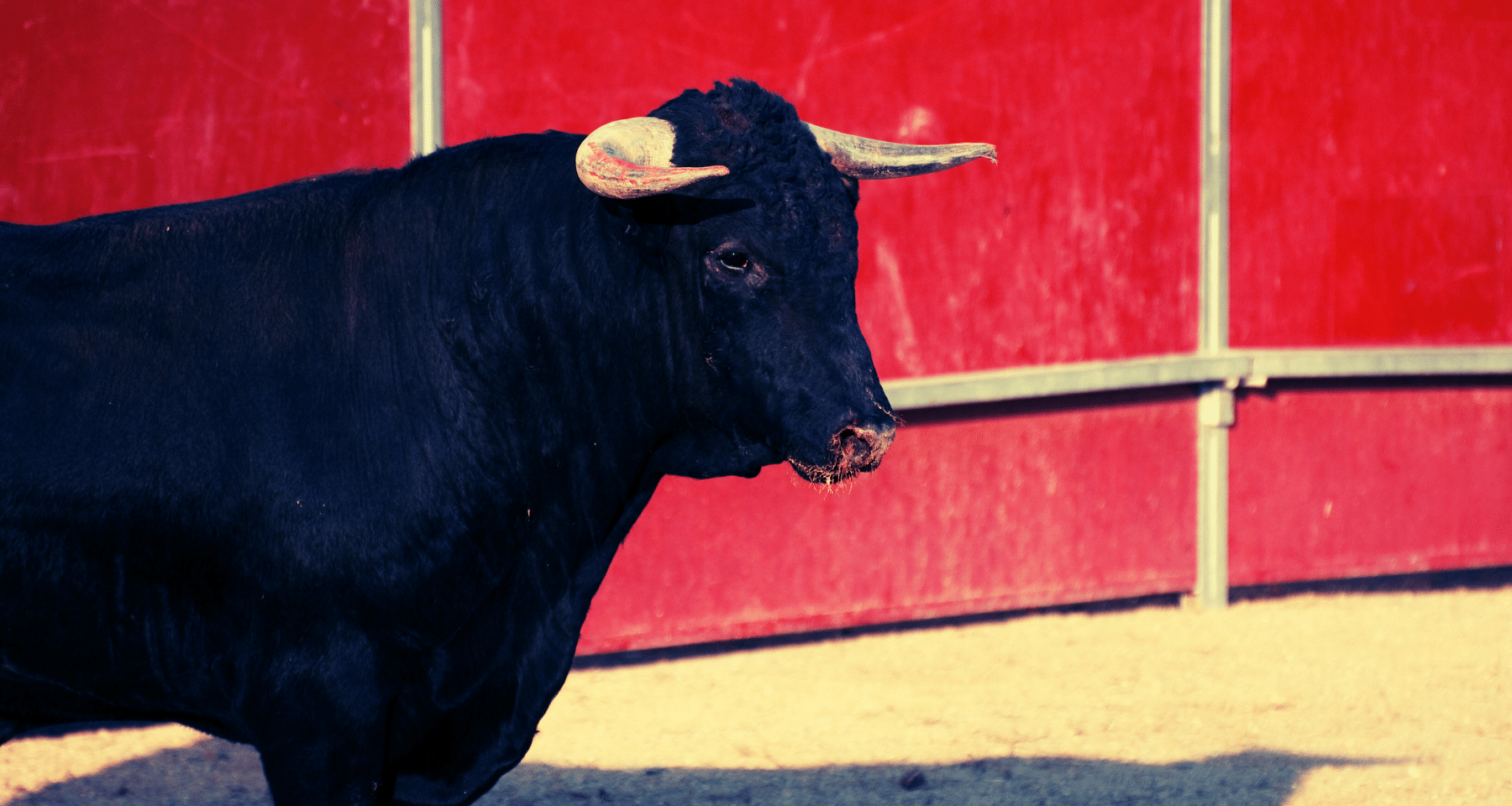 5 crypto per il 2025: DeFi, RWA e token che possono SFIDARE IL TOP