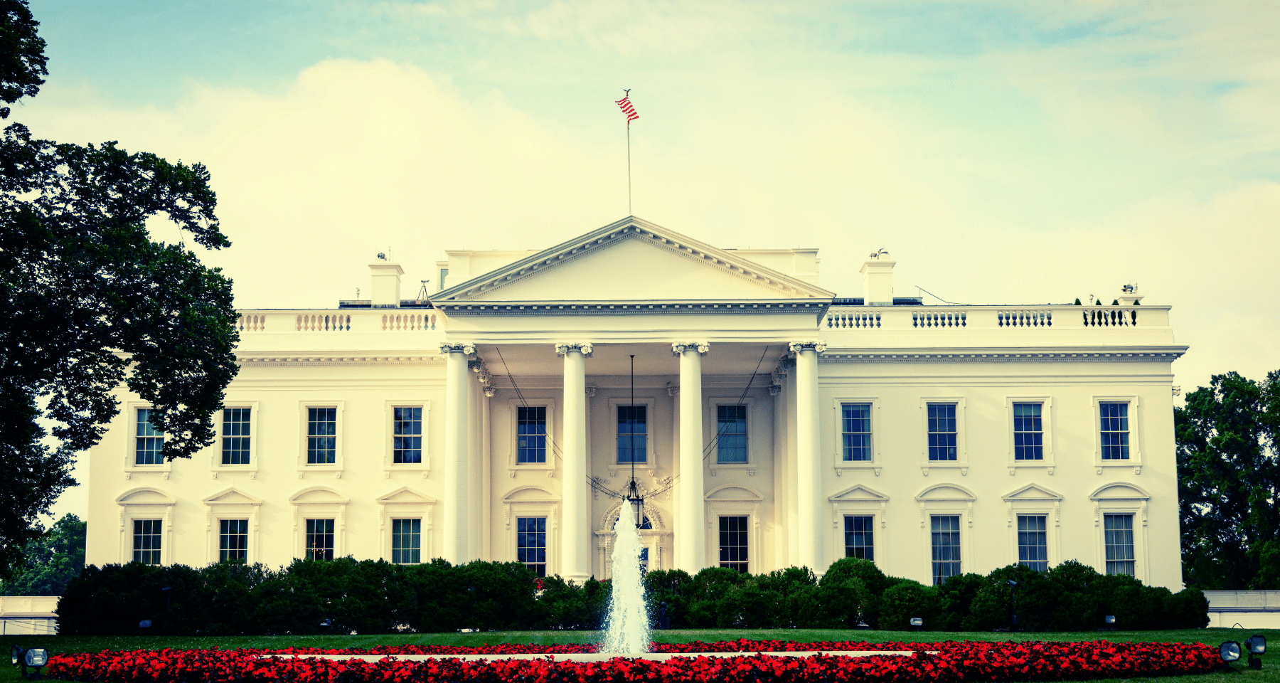 Ecco perché il CEO di Ripple VEDE la BULL RUN: 75% negli USA, nuovo presidente cambierà TUTTO
