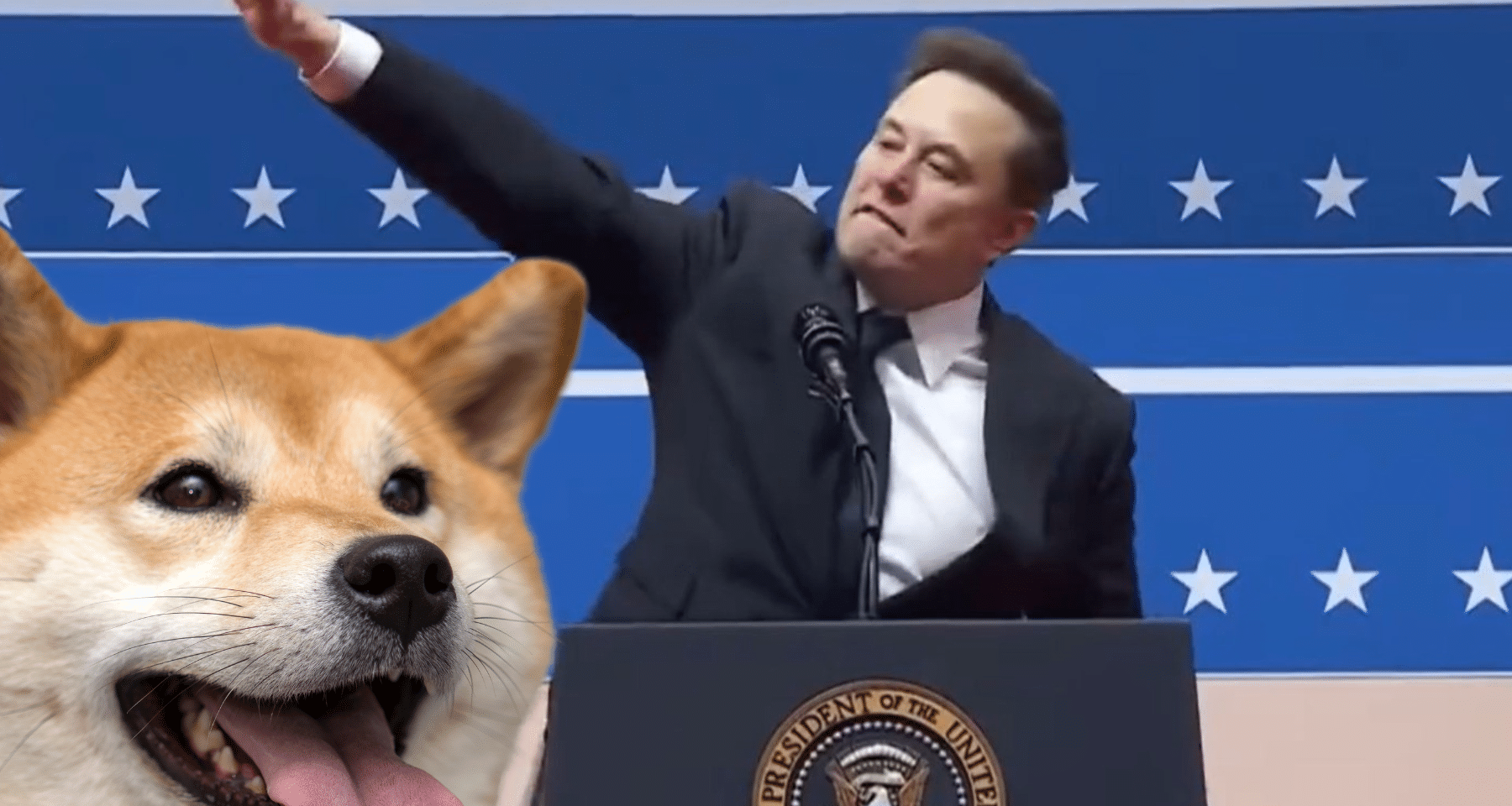 Dogecoin fa +10% con l'aiuto di Elon Musk. Logo sui siti governativi USA!