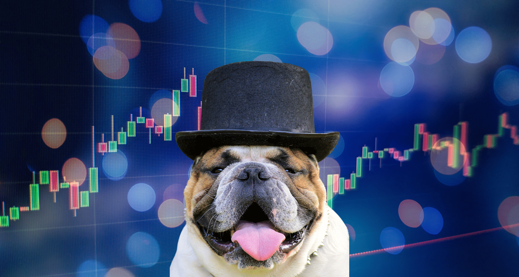 Mercato Meme Coin in CONTRASTO: Dogwifhat +27%, ma OCCHIO a questi dati [Analisi]