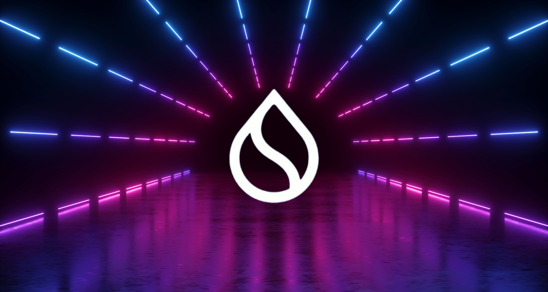 Ecco la Crypto CRESCIUTA del +1000% in sei mesi!  [Analisi SUI]