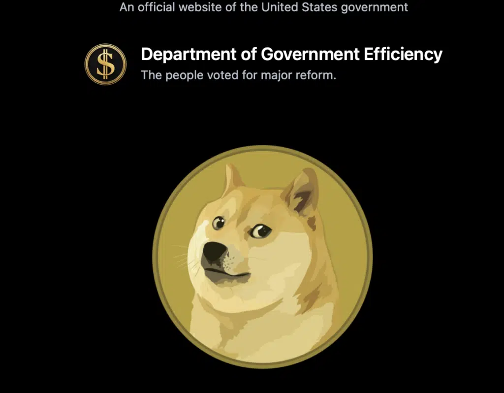 Sitio web de doge