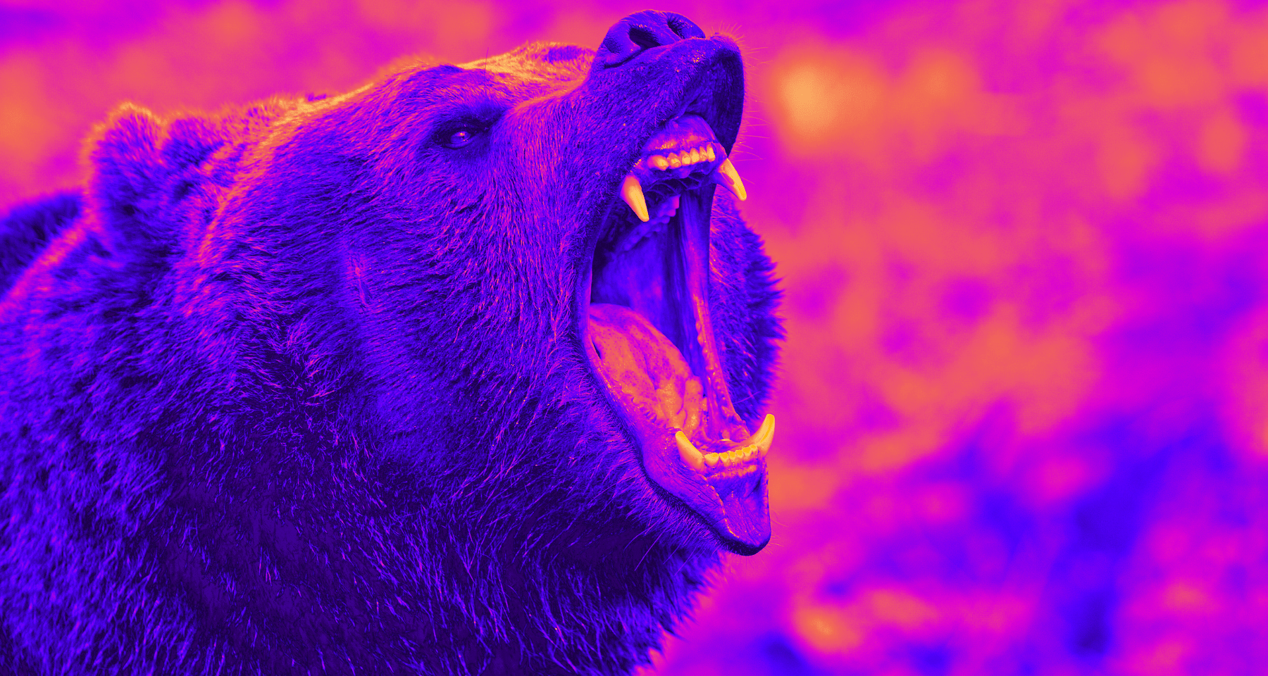 Bitcoin e crypto: È ARRIVATO IL BEAR MARKET? Le RISPOSTE alla DOMANDA del momento