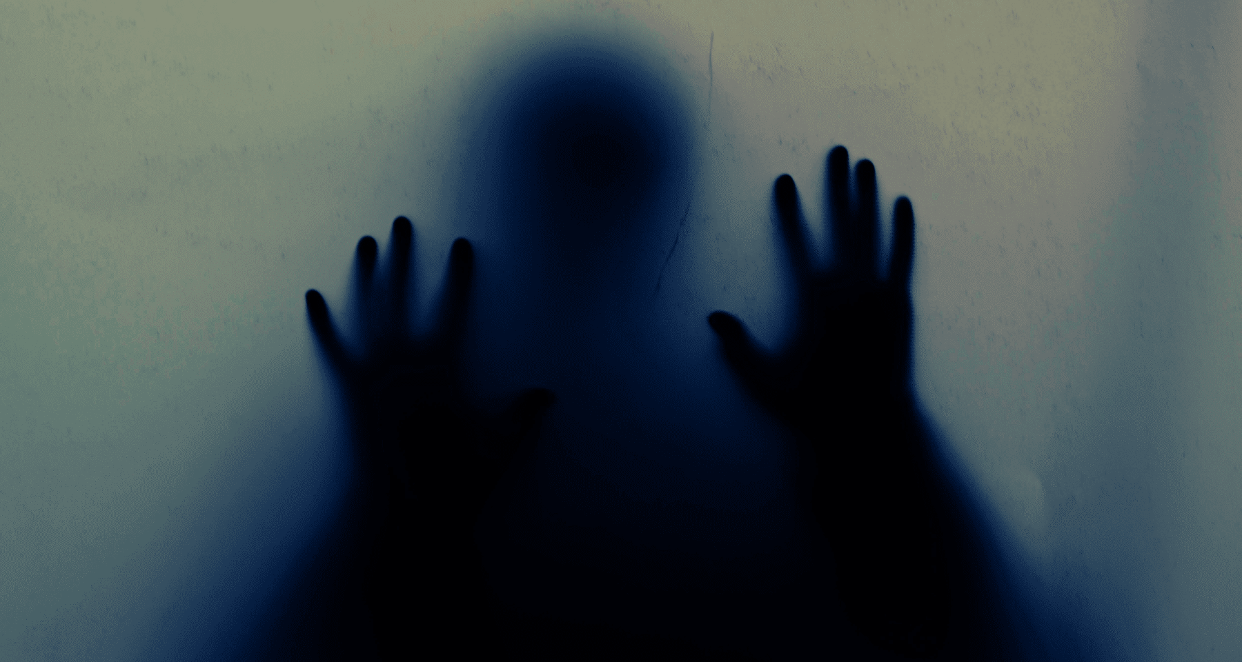 NVIDIA CROLLA e porta ancora giù Nasdaq, Bitcoin e crypto. Paura ai massimi, ma ha senso?