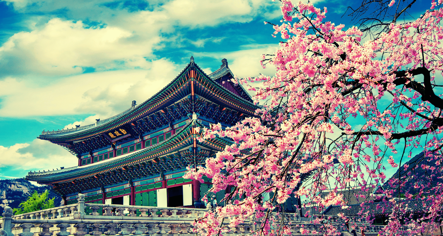 Corea del Sud: apertura crypto e Bitcoin per università, no profit. Presto anche per società quotate