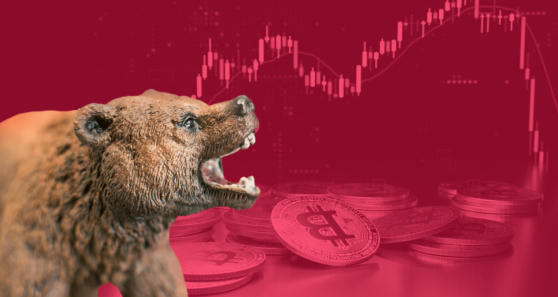 Trump AFFONDA le crypto: Altcoin in profondo rosso. BRUCIATI 500 MILIARDI!