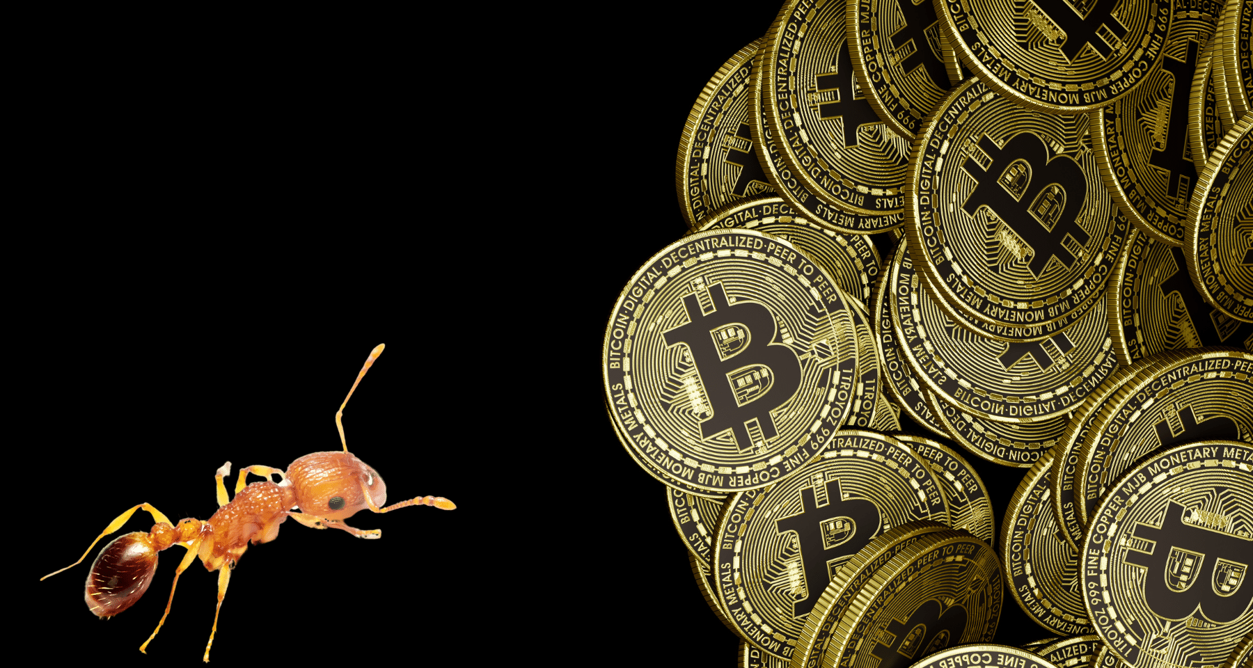 Bitcoin PAC: Come fare Piani di Accumulo in BTC e sfruttare CROLLI e CRISI a proprio favore!