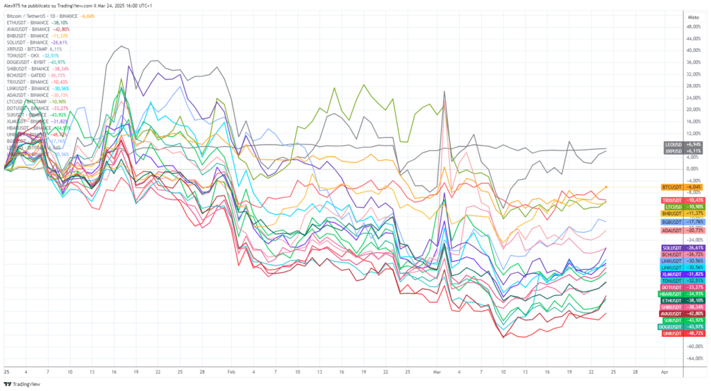 Crypto Top 20 da inizio anno