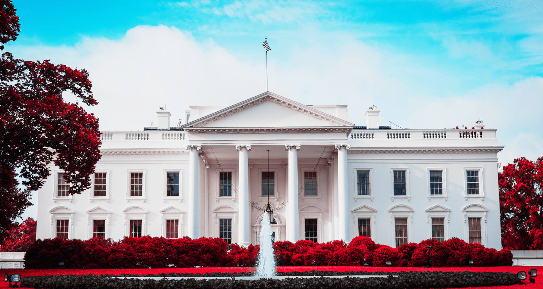 Crypto party alla Casa Bianca: mancano inviti per Ripple, Cardano e Solana?  Tutto quello che sappiamo - Criptovaluta.it®