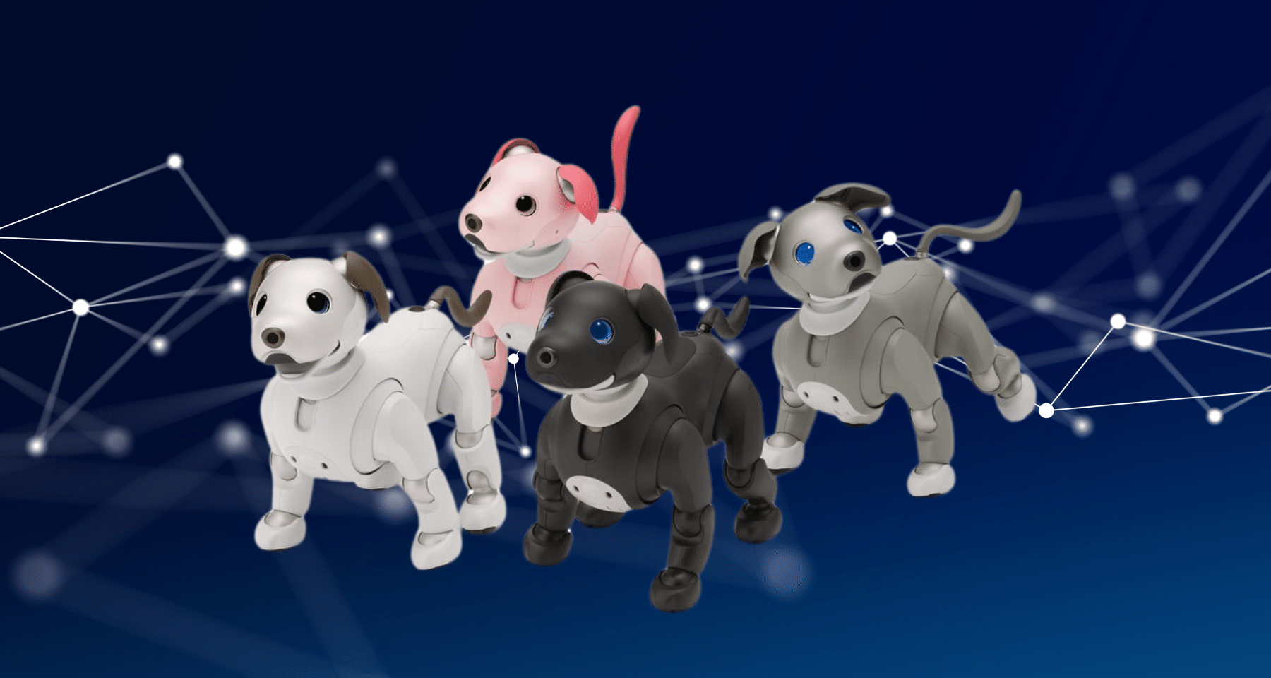 Sony lancia NFT commemorativo di Aibo su Soneium: tutti i dettagli