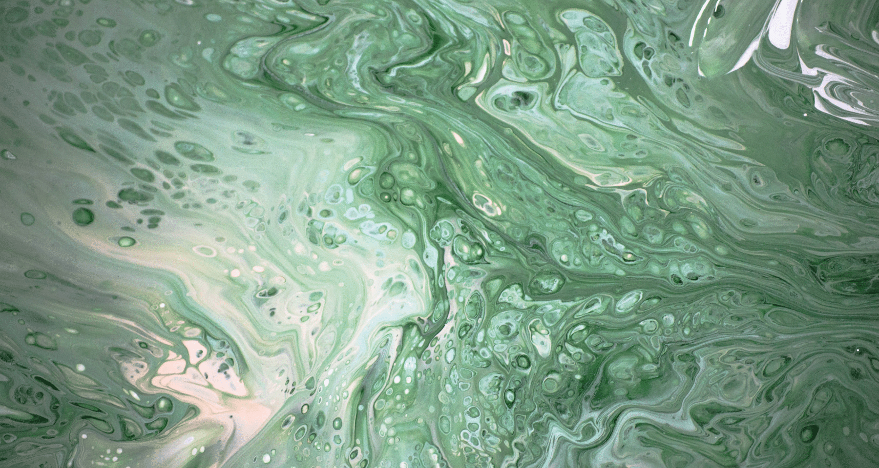 4 milioni di perdite per Hyperliquid. Il curioso caso della liquidazione "forzata". HYPE corregge e rimbalza