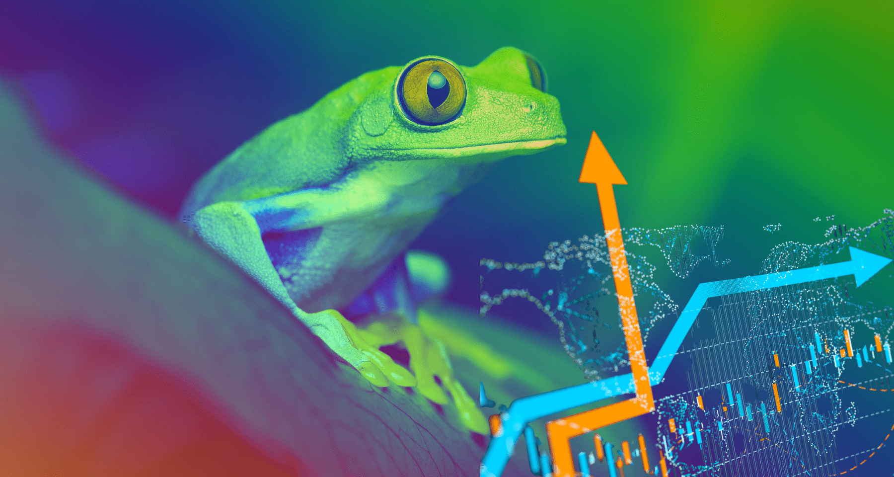 Crollo meme coin: Pepe Coin profondo rosso ma può invertire? [Analisi]