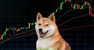SHIBA INU - $SHIB