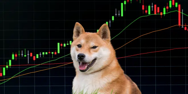 SHIBA INU - $SHIB