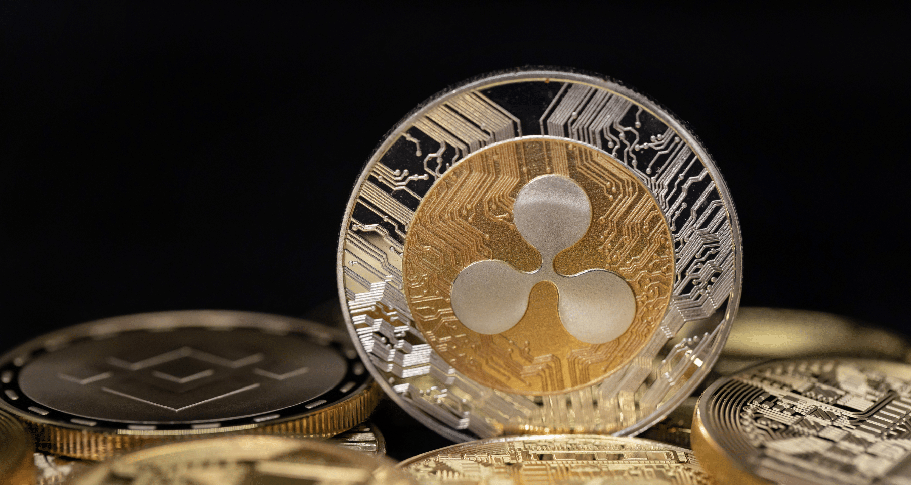 Evento Casa Bianca Crypto: c'è anche Brad Garlinghouse di Ripple nella lista degli invitati TOP