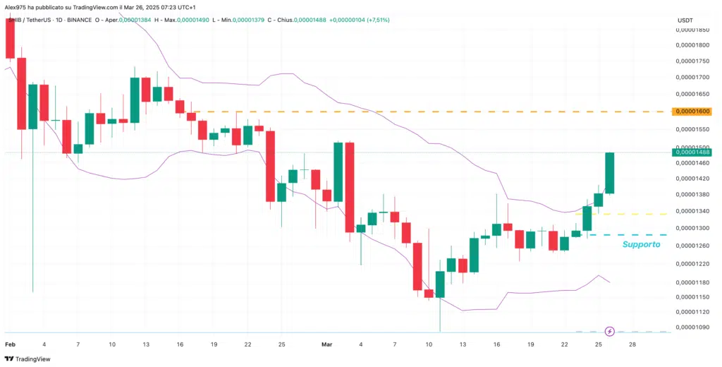 Shiba Inu coin (SHIB) - Daily 26 Marzo 2025