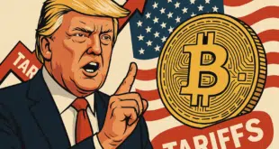 TRUMP - BTC - DAZI