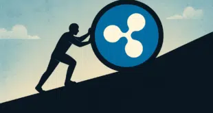 RIPPLE - XRP