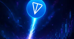 TONCOIN - TON